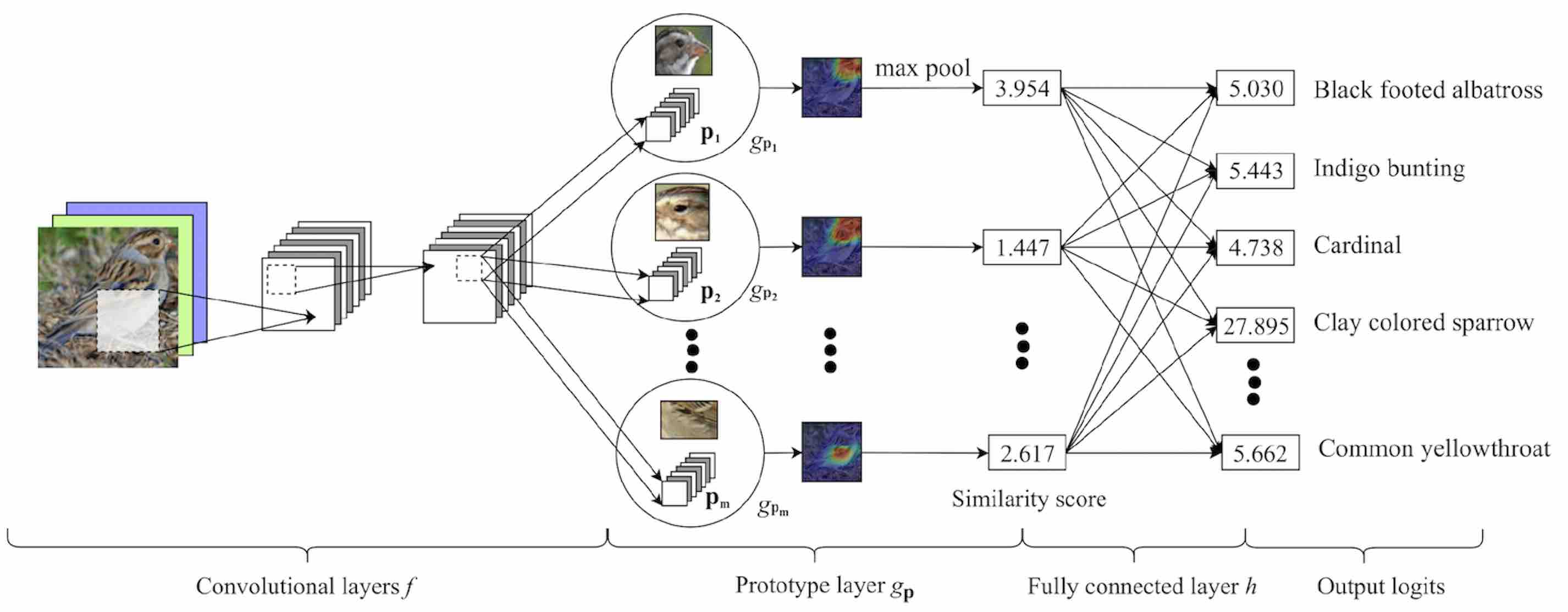 This Looks Like That: Deep Learning for Interpretable Image Recognition